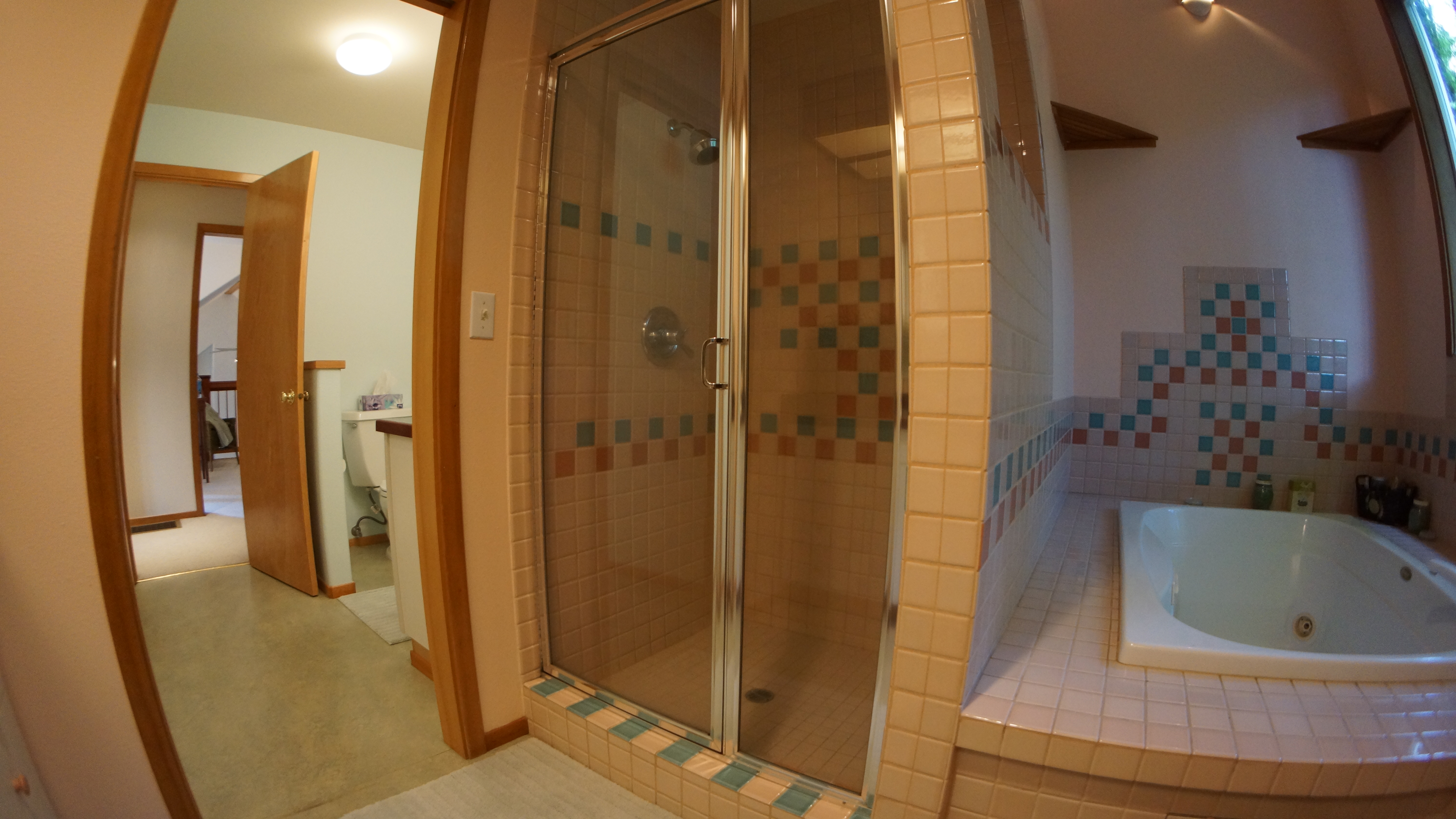 Bathroom, Shower, and genuine Jacuzzi Tub.